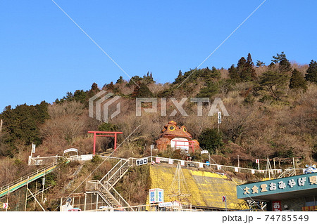 筑波山登山口、おたつ石コースのガマガエルの写真素材 [74785549] - PIXTA