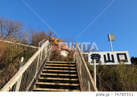 筑波山登山口、おたつ石コースのガマガエル 74785551