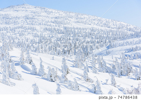 日本三大樹氷　森吉山 74786438