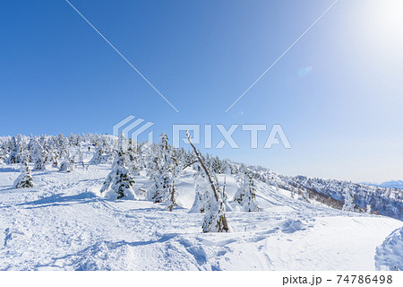 日本三大樹氷　森吉山 74786498