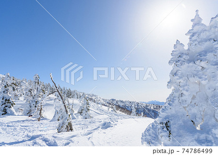 日本三大樹氷　森吉山 74786499