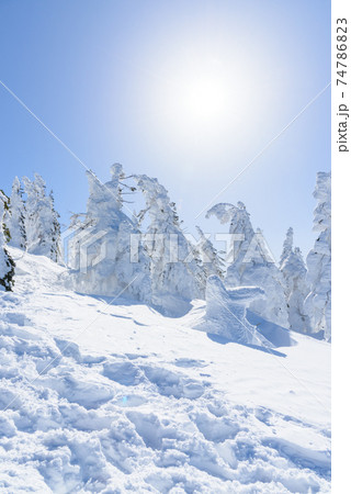 日本三大樹氷　森吉山 74786823