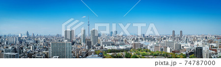 スカイツリーと住宅街 スカイツリーと住宅街 74787000