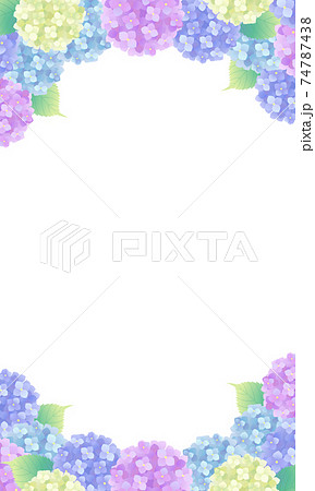6月の梅雨の時期のカラフルな紫陽花のベクターイラストフレーム 縦 のイラスト素材