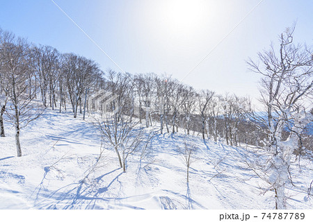 雪原 74787789
