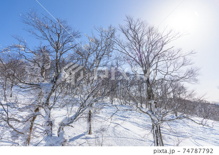 雪原 雪原 74787792