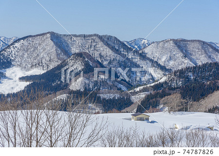 雪原 74787826