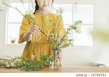 コデマリをいける若い女性の手元 コデマリをいける若い女性の手元 74789391
