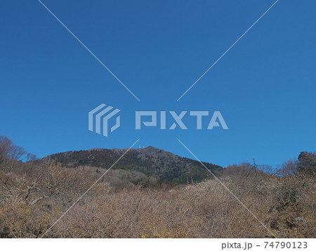 筑波山梅林からの筑波山山頂 筑波山梅林からの筑波山山頂 74790123