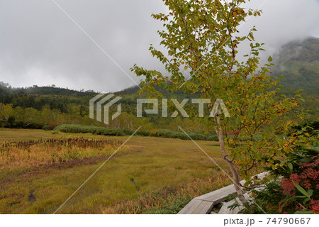 白馬 白馬 74790667