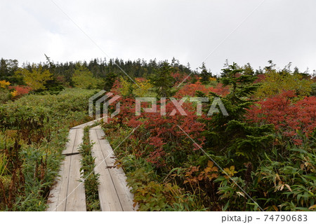 白馬 白馬 74790683