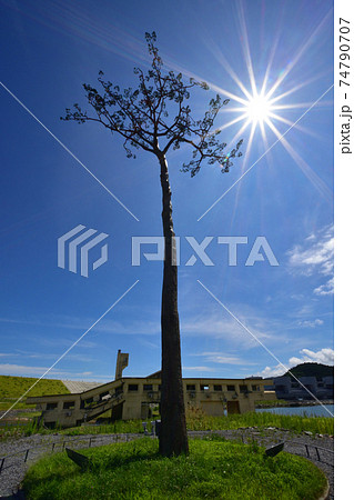 2020年夏の陸前高田市の風景 2020年夏の陸前高田市の風景 74790707