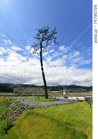 2020年夏の陸前高田市の風景 2020年夏の陸前高田市の風景 74790709