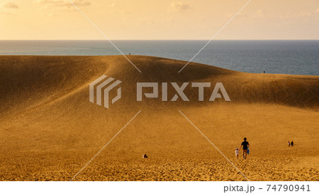 鳥取砂丘（夕景） 74790941