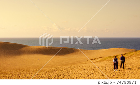 鳥取砂丘（夕景） 74790971