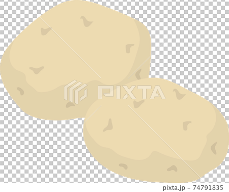potato potato 74791835