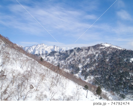 雪に覆われた山と森をスキー場から眺める (川場スキー場、群馬県) 74792474