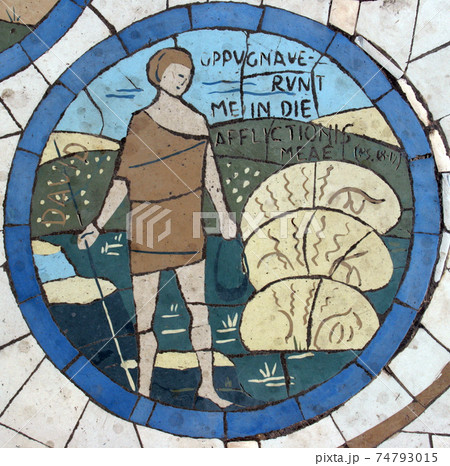 David, Mosaic in front of the church on the Mount of Beatitudes 74793015
