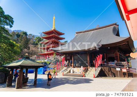 東京 高幡不動尊金剛寺 不動堂と五重塔 東京 高幡不動尊金剛寺 不動堂と五重塔 74793521
