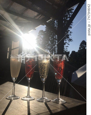 グランピング 74794642