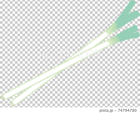 長ネギ 74794780