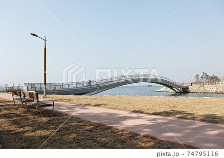 道路 川 河 74795116