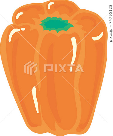 オレンジパプリカ オレンジパプリカ 74795128