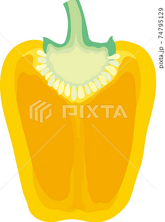 黄色いパプリカの断面 74795129