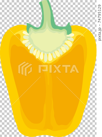 黄色いパプリカの断面 74795129