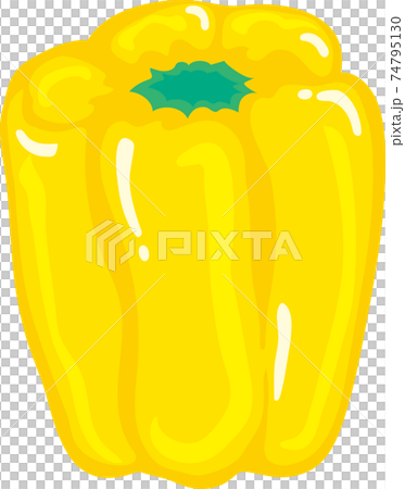 黄色いパプリカ 74795130