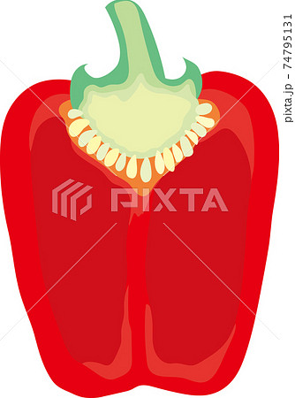 赤いパプリカの断面 74795131