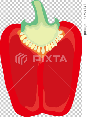 赤いパプリカの断面 74795131