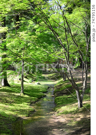 岩手県平泉町毛越寺庭園 Motsu-ji Temple Garden Hiraizumi Iwate 岩手県平泉町毛越寺庭園 Motsu-ji Temple Garden Hiraizumi Iwate 74795156