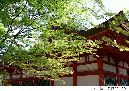 岩手県平泉町毛越寺庭園 Motsu-ji Temple Garden Hiraizumi Iwate 岩手県平泉町毛越寺庭園 Motsu-ji Temple Garden Hiraizumi Iwate 74795160