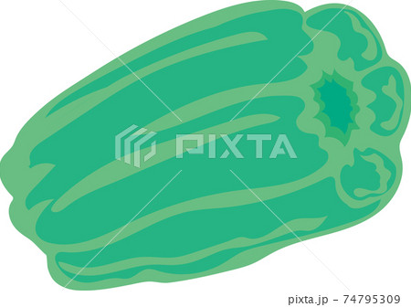 ピーマン 74795309