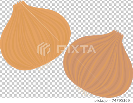 2個洋蔥 2個洋蔥 74795369