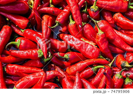 Red hot chili pepper in water as background Red hot chili pepper in water as background 74795906
