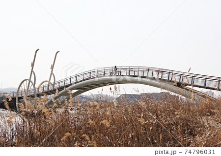 公園 川 河 74796031