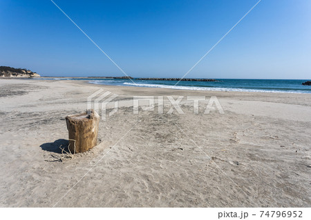 茨城県高萩市　高萩海水浴場の切株 74796952