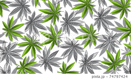 Marijuana Leafs Or Cannabis Leafs Weed Patternのイラスト素材
