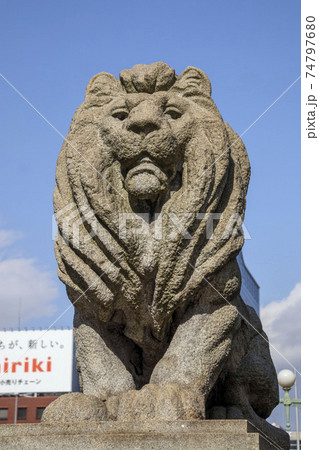 大阪　難波橋（ライオン橋）のライオンの石像 74797680
