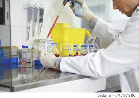 Scientist Filling Test Tube With Hitech Pipette Scientist Filling Test Tube With Hitech Pipette 74797886