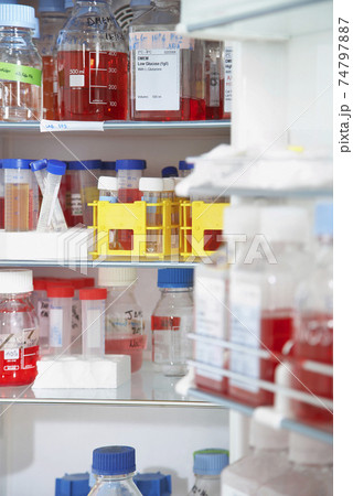 Lab Supplies On Shelves 74797887