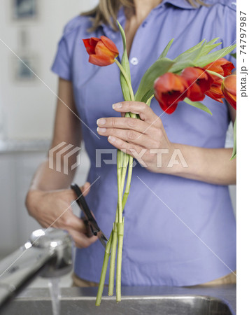 Midsection Of Woman Cutting Flowers In Kitchen Sink Midsection Of Woman Cutting Flowers In Kitchen Sink 74797987