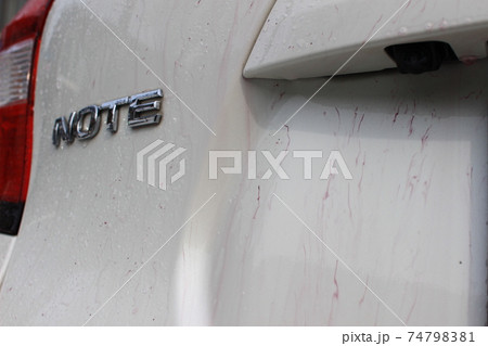 鉄粉除去剤に反応するボディーに刺さった鉄粉 74798381