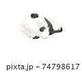 ジャイアントパンダの赤ちゃん ジャイアントパンダの赤ちゃん 74798617