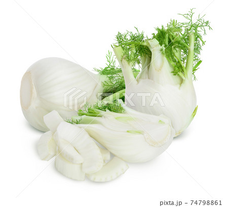 fresh fennel bulb isolated on white background with full depth of field 74798861