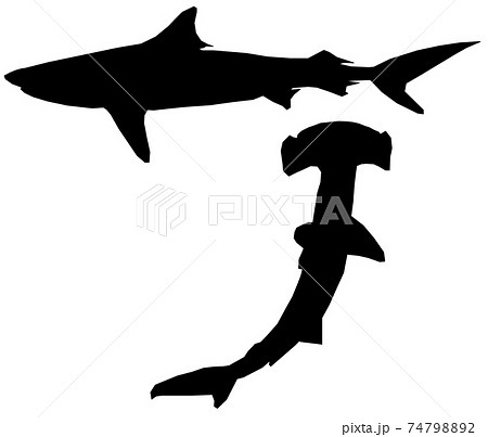 画像をダウンロード サメ 怖い 画像 サメ 怖い 画像 Appgazojp