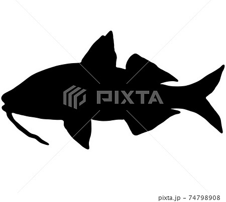 魚のオジサンのシルエット 74798908
