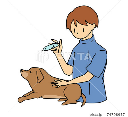 注射を受ける犬 注射を受ける犬 74798957